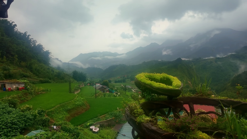 Green rice terraces and misty mountains create a lush rainy season landscape in Sapa Vietnam